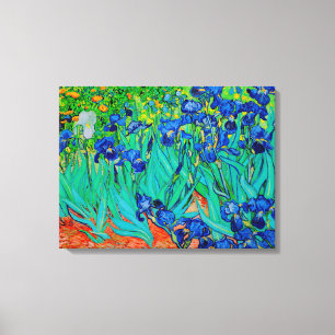 PixDezines van gogh irises/st. remy Leinwanddruck