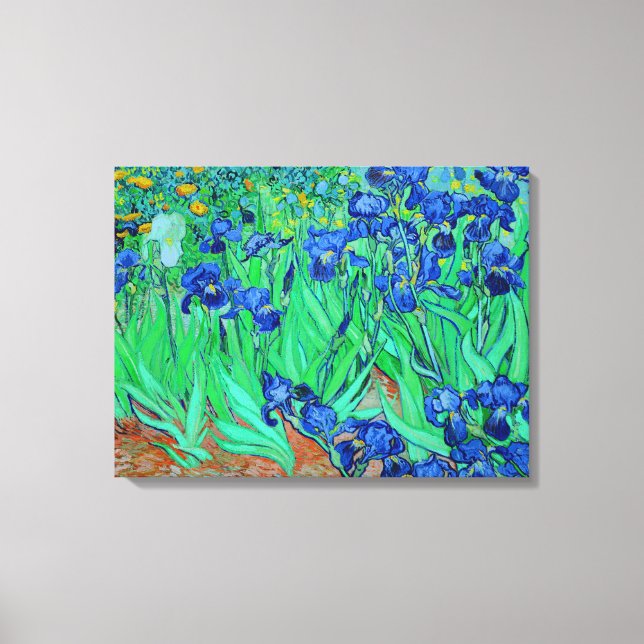PixDezines van gogh irises/st. remy Leinwanddruck (Vorderseite)