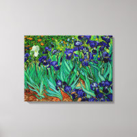 PixDezines van gogh irises/st. remy