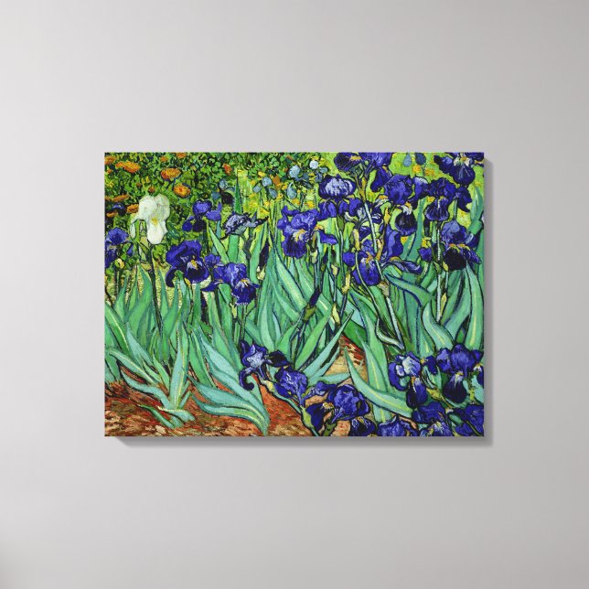 PixDezines van gogh irises/st. remy Leinwanddruck (Vorderseite)