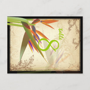 PixDezines Vintage Paradiesvogel/DIY-Schrift/Farbe Postkarte