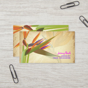 PixDezines vintage Paradiesvogel ♥♥♥ Visitenkarte