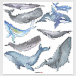 PixDezines Watercolor Whales Aufkleber