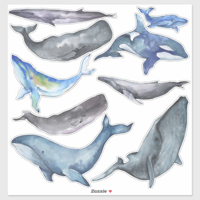 PixDezines Watercolor Whales Aufkleber (Blatt)