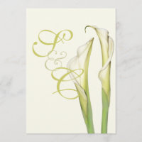 PixDezines weißer Calla-Lilies/dunkler Hintergrund