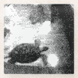 pixelige Schildkröten Glasuntersetzer