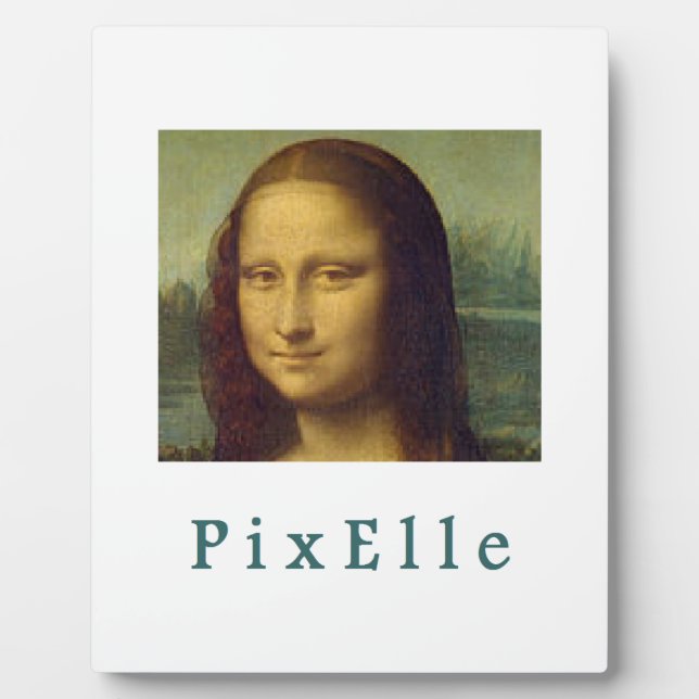 Pixelle Fotoplatte (Vorderseite)
