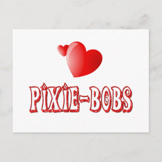 Pixie-Bob-Liebe Postkarte