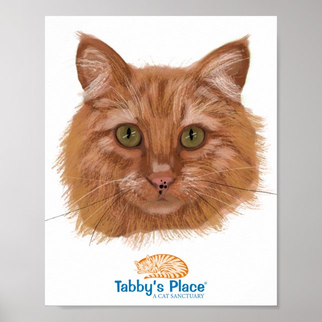 Pixie Portrait Poster (Vorne)