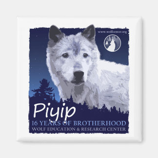 Piyip Magnet