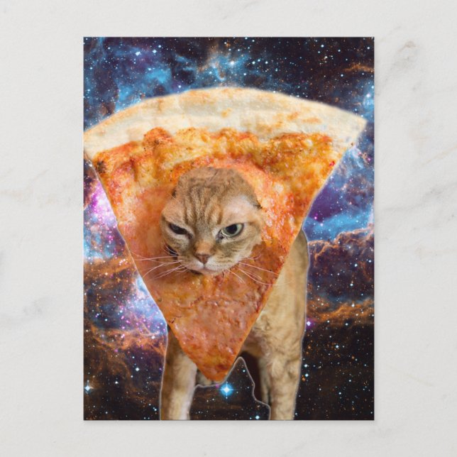 Pizza Cat in Space Wearing Pizza Slice Postkarte (Vorderseite)