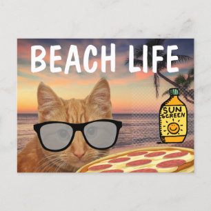 PIZZA GINGER CAT BEACH SUNGLASSEN POSTCARD POSTKARTE