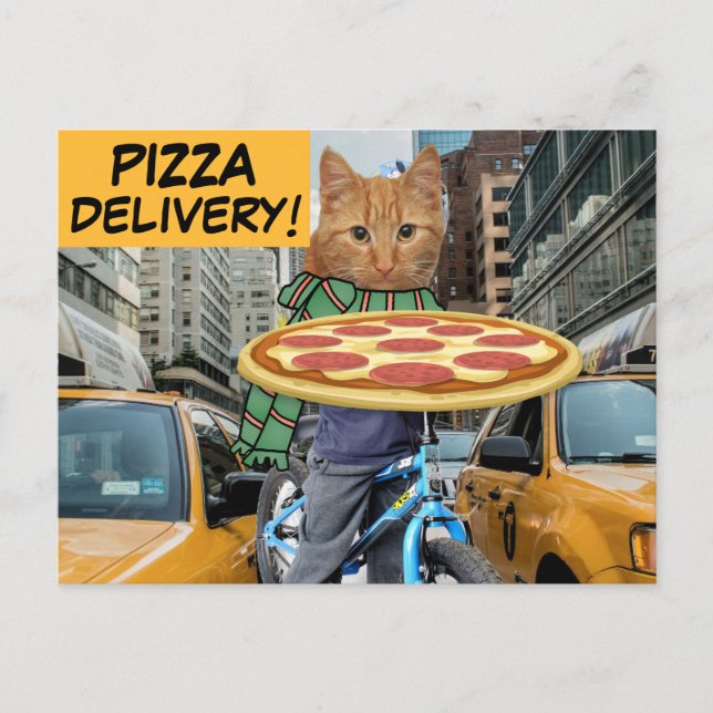PIZZA LIEFERT! KATZE POSTCARDS POSTKARTE (Vorderseite)