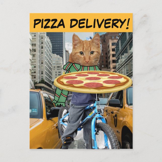 PIZZA LIEFERT! KATZE POSTCARDS POSTKARTE (Vorderseite)