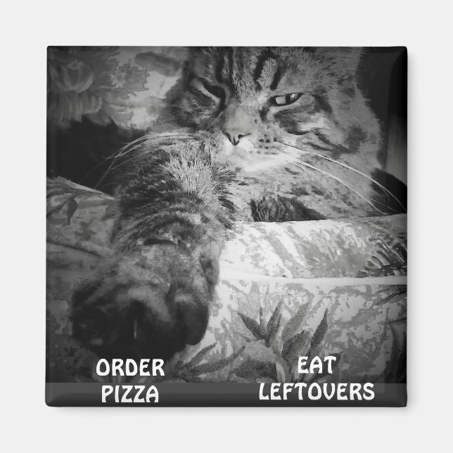 PIZZA ODER LEFTOVER? MAGNET (Vorne)