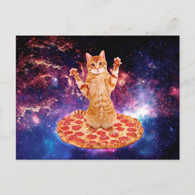 Pizzakatkatze Postkarte (Vorderseite)