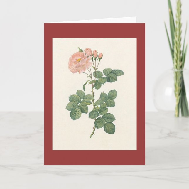 PJ Redoute - Rosa damascena Aurora Karte (Vorderseite)