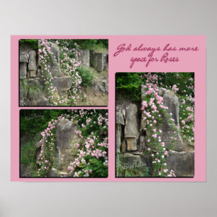 PK alt-fashroses auf Täuschung-ZP Poster