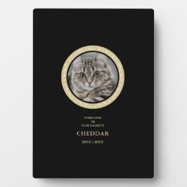 Placa con atril fotoplatte