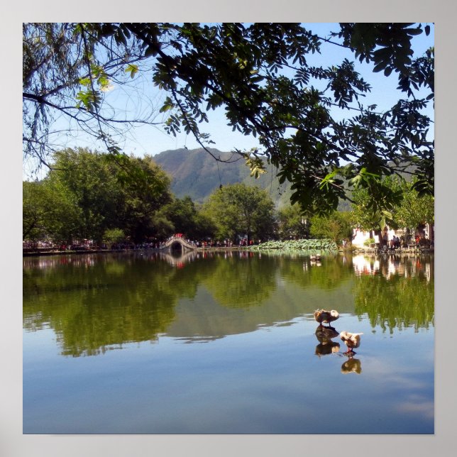 Placid mirror lake poster (Vorne)