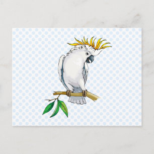 Placido Parrot Postkarte