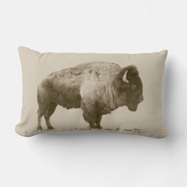 Plains Bison Lendenkissen (Vorderseite)
