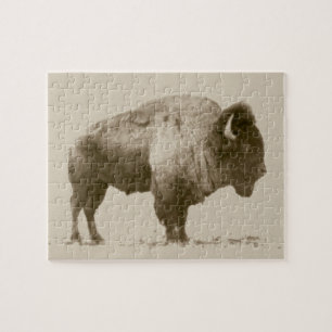 Plains Bison Puzzle
