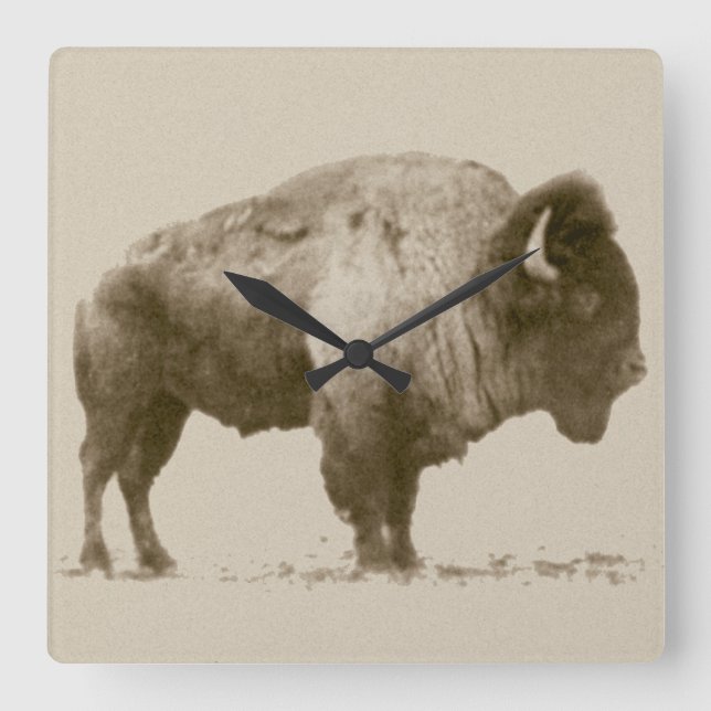 Plains Bison Quadratische Wanduhr (Vorderseite)