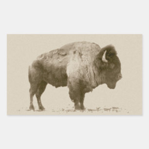 Plains Bison Rechteckiger Aufkleber