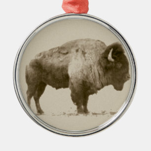 Plains Bison Silbernes Ornament