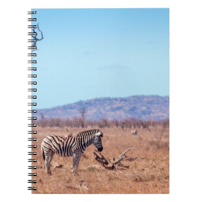 Plains zebra in Kruger National Park, Südafrika Notizblock (Vorderseite)