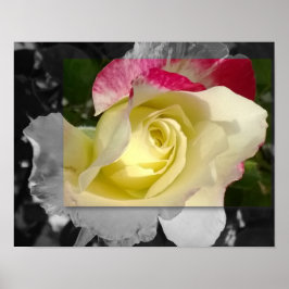 PLAKAT 14x11, gelbe Blume