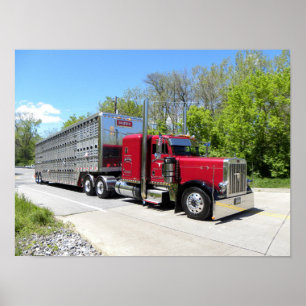 Plakat Brown-Transport-379