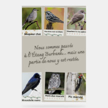 Plakat Burbank Lake Bird Collage –