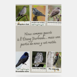 Plakat Burbank Lake Bird Collage – Acrylschild