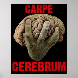 Plakat "CARPE CEREBRUM"