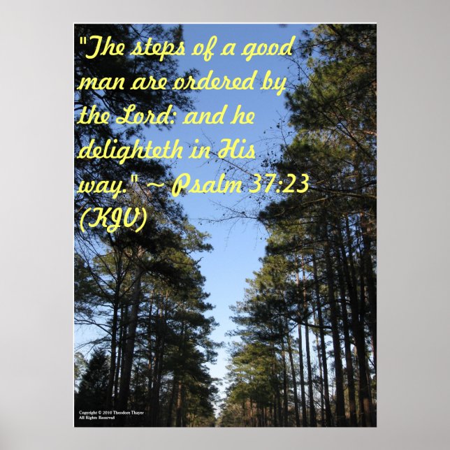 Plakat der Inspirationsbibel - Psalm 37:23 (Vorne)