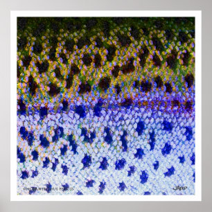 Plakat der Regenbogenforelle-FFF