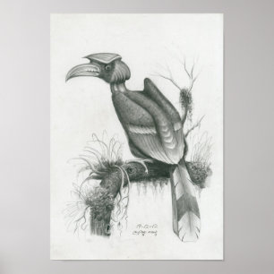 Plakat des kambodschanischen Hornbill-Vogels durch