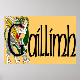 Plakat-Druck Galways (Gälisch) Poster