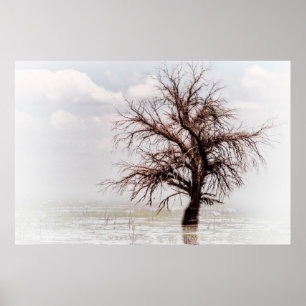 Plakat EIN EINZELNER BAUM IN EINEM SUMPF MIT NEBEL