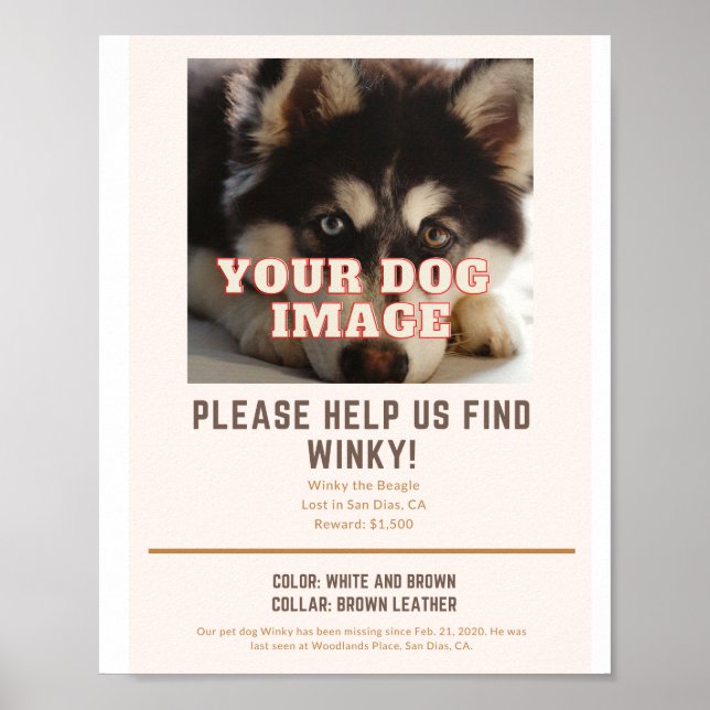 Plakat für deinen vermissten Hund (Vorne)