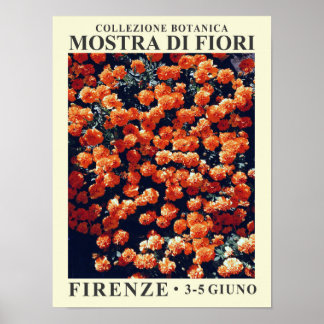 Plakat für die Florale Ausstellung in Firenze