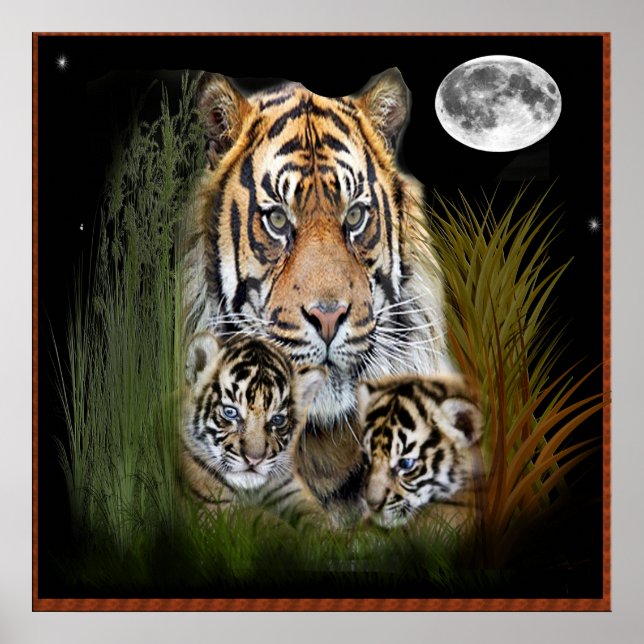 Plakat für Tiger und Naben (Vorne)