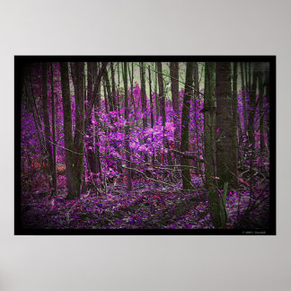 Plakat für verblichene Lavendel-Träume