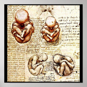 Plakat-Klassisch/Vintag-LEONARDO da Vinci 9 Poster