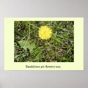 Plakat "Lüster sind Blume"