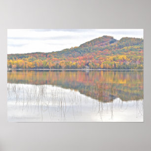 Plakat "Michigan, In Living Color"