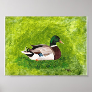 Plakat mit Gemälde einer Stockente, die im Gras si