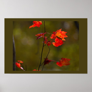 Plakat mit roten Blättern und Zweigen